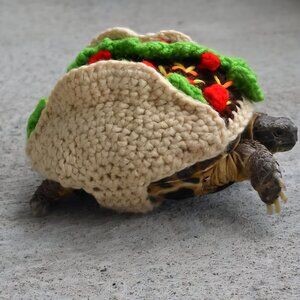 Meet your Taco'd Turtle (ie Posher)